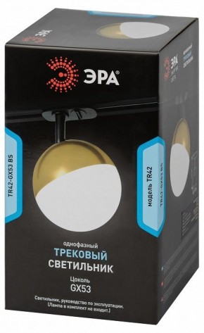 Светильник на штанге Эра  TR42-GX53 BS в Камышлове - kamyshlov.ok-mebel.com | фото 6