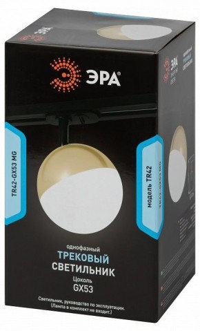 Светильник на штанге Эра  TR42-GX53 MG в Камышлове - kamyshlov.ok-mebel.com | фото 6
