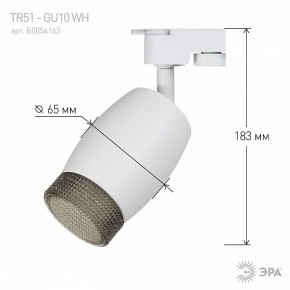 Светильник на штанге Эра  TR51 - GU10 WH в Камышлове - kamyshlov.ok-mebel.com | фото 4