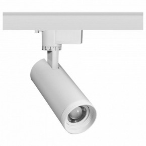 Светильник на штанге Эра  TR59 - 2030 WH в Камышлове - kamyshlov.ok-mebel.com | фото