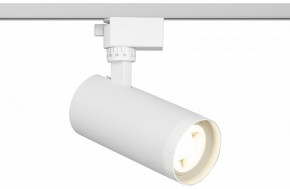 Светильник на штанге Эра  TR59 - 2040 WH в Камышлове - kamyshlov.ok-mebel.com | фото