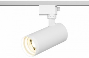 Светильник на штанге Эра  TR59 - 2040 WH в Камышлове - kamyshlov.ok-mebel.com | фото 5