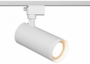 Светильник на штанге Эра  TR59 - 3030 WH в Камышлове - kamyshlov.ok-mebel.com | фото