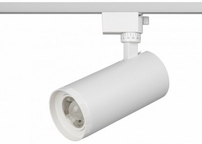 Светильник на штанге Эра  TR59 - 3030 WH в Камышлове - kamyshlov.ok-mebel.com | фото 2