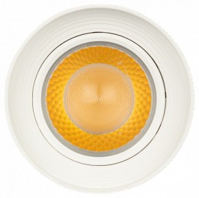 Светильник на штанге Эра  TR59 - 3030 WH в Камышлове - kamyshlov.ok-mebel.com | фото 3