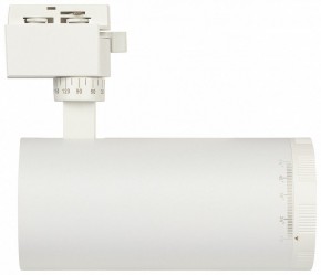 Светильник на штанге Эра  TR59 - 3030 WH в Камышлове - kamyshlov.ok-mebel.com | фото 4