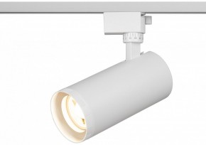 Светильник на штанге Эра  TR59 - 3030 WH в Камышлове - kamyshlov.ok-mebel.com | фото 5