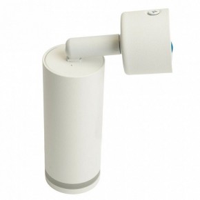 Светильник на штанге Feron ML1001 51370 в Камышлове - kamyshlov.ok-mebel.com | фото 6