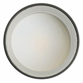 Светильник на штанге Feron ML1001 51371 в Камышлове - kamyshlov.ok-mebel.com | фото 4