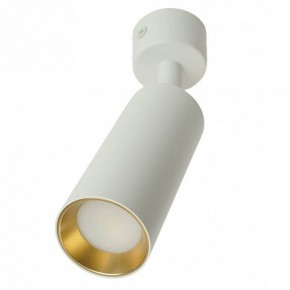 Светильник на штанге Feron ML1011 51380 в Камышлове - kamyshlov.ok-mebel.com | фото 9