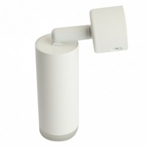Светильник на штанге Feron ML1021 51390 в Камышлове - kamyshlov.ok-mebel.com | фото 3
