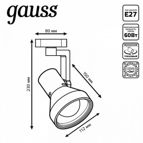 Светильник на штанге Gauss Track Light TR005 в Камышлове - kamyshlov.ok-mebel.com | фото 6