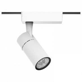 Светильник на штанге Gauss Track Light TR059 в Камышлове - kamyshlov.ok-mebel.com | фото