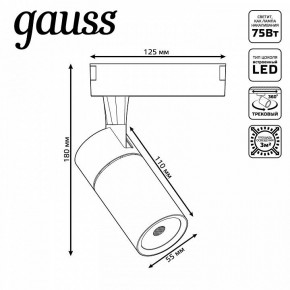 Светильник на штанге Gauss Track Light TR059 в Камышлове - kamyshlov.ok-mebel.com | фото 6