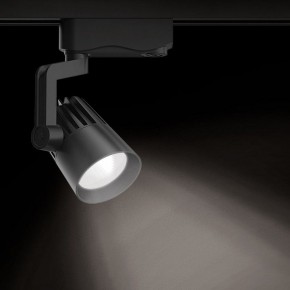 Светильник на штанге Gauss Track Light TR061 в Камышлове - kamyshlov.ok-mebel.com | фото 2