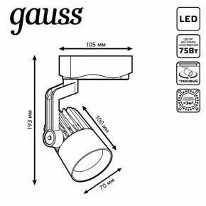 Светильник на штанге Gauss Track Light TR061 в Камышлове - kamyshlov.ok-mebel.com | фото 6