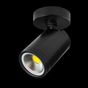 Светильник на штанге Lightstar Rullo 213407 в Камышлове - kamyshlov.ok-mebel.com | фото 2