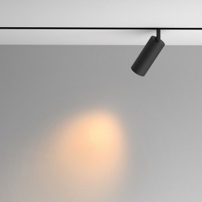 Светильник на штанге Maytoni Artisan TR097-2-12W2.7K-M-BB в Камышлове - kamyshlov.ok-mebel.com | фото 4