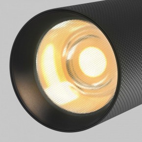 Светильник на штанге Maytoni Artisan TR097-2-12W2.7K-M-BB в Камышлове - kamyshlov.ok-mebel.com | фото 9