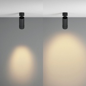 Светильник на штанге Maytoni Focus Zoom C055CL-L12W2.7K-Z-B в Камышлове - kamyshlov.ok-mebel.com | фото 3