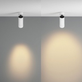 Светильник на штанге Maytoni Focus Zoom C055CL-L12W2.7K-Z-W в Камышлове - kamyshlov.ok-mebel.com | фото 3