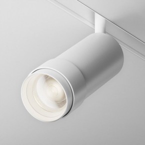 Светильник на штанге Maytoni Focus Zoom TR212-4-12WTW-Z-DSZ-W в Камышлове - kamyshlov.ok-mebel.com | фото 9