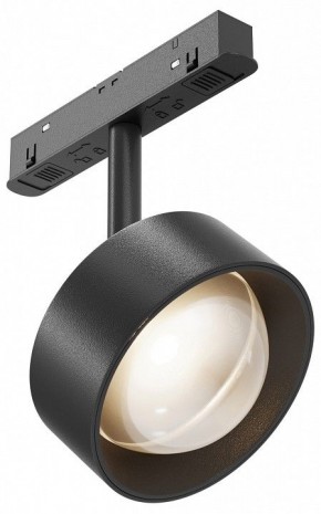 Светильник на штанге Maytoni Lens TR217-2-15W3K-B в Камышлове - kamyshlov.ok-mebel.com | фото