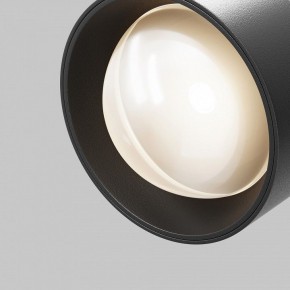 Светильник на штанге Maytoni Lens TR217-2-15W3K-B в Камышлове - kamyshlov.ok-mebel.com | фото 10