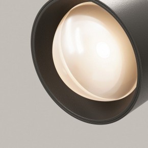 Светильник на штанге Maytoni Lens TR217-2-15W3K-B в Камышлове - kamyshlov.ok-mebel.com | фото 12
