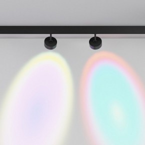 Светильник на штанге Maytoni Lens TR217-2-15W4K-B в Камышлове - kamyshlov.ok-mebel.com | фото 6