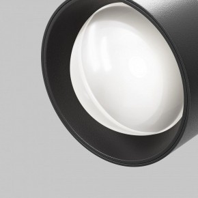 Светильник на штанге Maytoni Lens TR217-4-15WTW-DD-B в Камышлове - kamyshlov.ok-mebel.com | фото 12