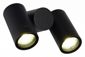 Светильник на штанге ST-Luce Ecollo SL9011.402.02 в Камышлове - kamyshlov.ok-mebel.com | фото 3