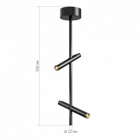 Светильник на штанге ST-Luce LILT SL6210.403.02 в Камышлове - kamyshlov.ok-mebel.com | фото 3