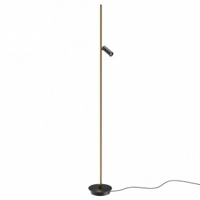 Торшер Maytoni Thin MOD395FL-L28B3K в Камышлове - kamyshlov.ok-mebel.com | фото