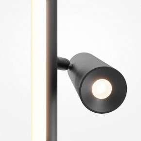 Торшер Maytoni Thin MOD395FL-L28B3K в Камышлове - kamyshlov.ok-mebel.com | фото 6
