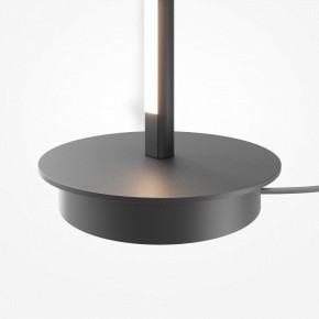 Торшер Maytoni Thin MOD395FL-L28B3K в Камышлове - kamyshlov.ok-mebel.com | фото 8