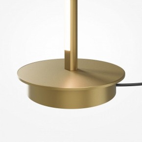 Торшер Maytoni Thin MOD395FL-L28BS3K в Камышлове - kamyshlov.ok-mebel.com | фото 7