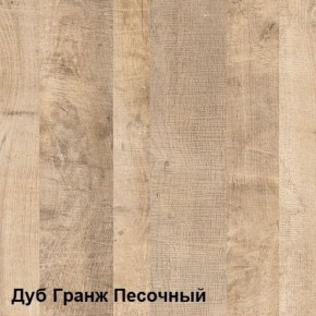 Трувор Шкаф 13.204.01 в Камышлове - kamyshlov.ok-mebel.com | фото 4