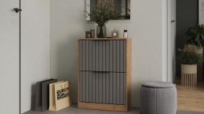 Тумба для обуви Хилтон в Камышлове - kamyshlov.ok-mebel.com | фото 3