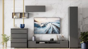 Тумба под ТВ Сибити в Камышлове - kamyshlov.ok-mebel.com | фото 3