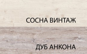 Тумба RTV 1D2SN, MONAKO, цвет Сосна винтаж/дуб анкона в Камышлове - kamyshlov.ok-mebel.com | фото 3