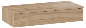 Тумбочка навесная ТД-102.08.02 в Камышлове - kamyshlov.ok-mebel.com | фото 3