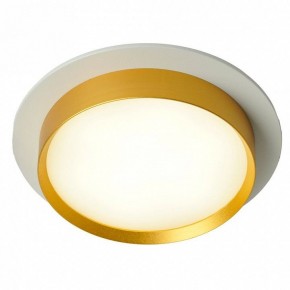 Встраиваемый светильник Feron DL507 51354 в Камышлове - kamyshlov.ok-mebel.com | фото 3