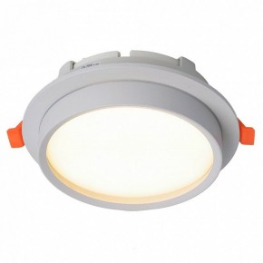 Встраиваемый светильник Feron DL704 51105 в Камышлове - kamyshlov.ok-mebel.com | фото 2